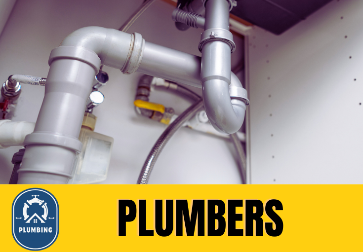 plumber Higham
